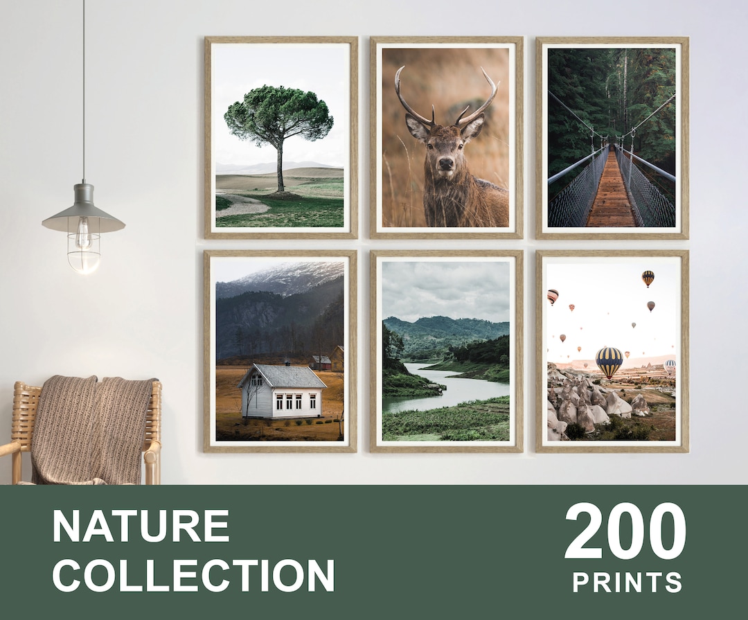 200x NATURE Printable Set, Nature Wall Art, Forest Prints, Mountain ...