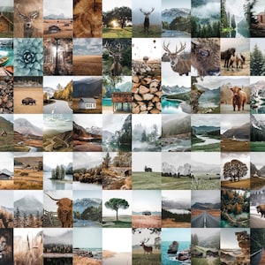 200x NATURE Printable Set, Nature Wall Art, Forest Prints, Mountain ...