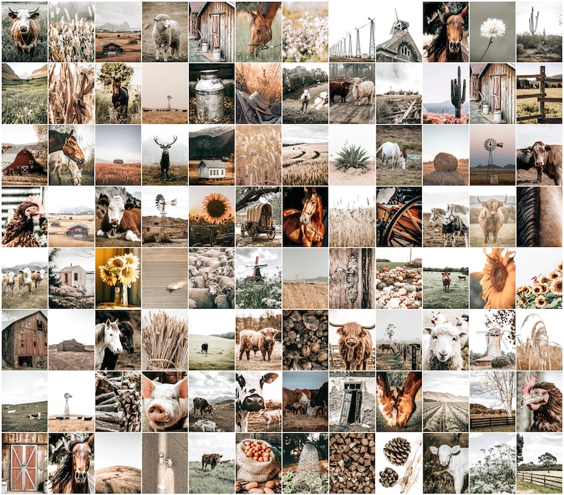 May include: A collage of 64 images showcasing a range of farm and countryside scenes. The images feature animals, plants, landscapes, and farm buildings. The images are arranged in a grid pattern and all have a rustic aesthetic.