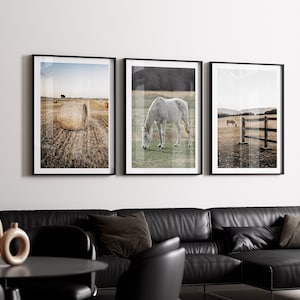 May include: Three framed black and white photographs of horses in a field. The first photo shows a hay bale in a field. The second photo shows a white horse grazing in a field. The third photo shows a brown horse grazing in a field with a wooden fence.