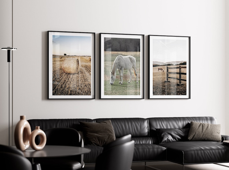 May include: Three framed black and white photographs of horses in a field. The first photo shows a hay bale in a field. The second photo shows a white horse grazing in a field. The third photo shows a brown horse grazing in a field with a wooden fence.