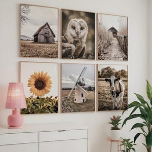 May include: Set of eight framed prints featuring various nature scenes, including a barn, a sunflower, a windmill, a barn owl, a cow, and a path through a field.