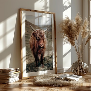 May include: A framed photograph of a brown Highland cow standing in a field of green grass. The cow has long, shaggy hair and a white face. The photograph is in a wooden frame.