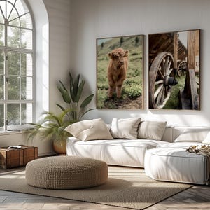May include: Two framed prints of nature scenes. The left print shows a brown Highland calf standing in a grassy field. The right print shows a wooden wagon wheel with a wooden cart in the background.