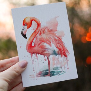Cartes de souhaits à semer (6 modèles animaux)