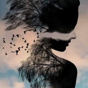 May include: A silhouette of a person with a tree growing out of their head, with birds flying around them against a cloudy sky.