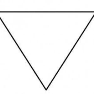 May include: A simple black triangle shape.