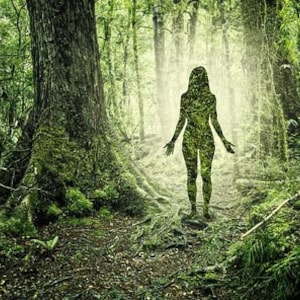 Your choice of Animal Spirit Guide attunement