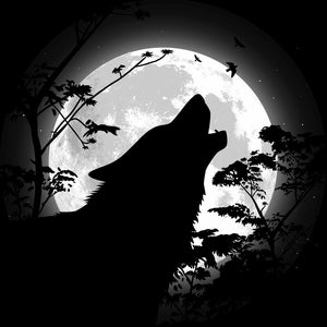 Wolf Power Animal  attunement