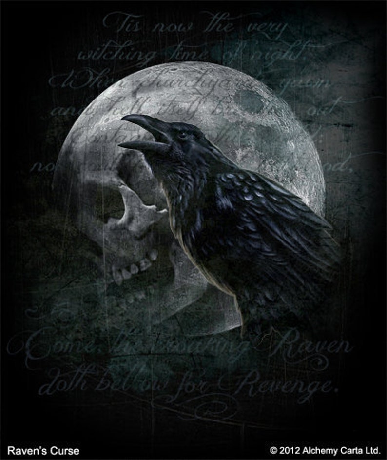 Raven, the Animal Spirit Guide Attunement - Etsy