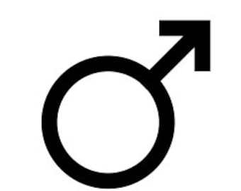 May include: A black and white gender symbol, representing the male gender.
