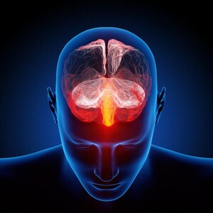 May include: A 3D illustration of a human head with a transparent skull showing the brain in red and white. The brain is highlighted with a red glow.