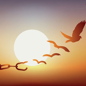 May include: A chain is broken with a bright sun in the background.  Silhouettes of birds fly away from the chain, symbolizing freedom.