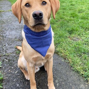 Dog bandana / spotty pattern / over the collar bandana