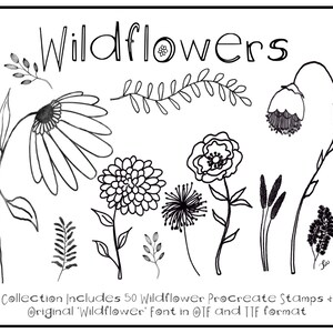 Font Included, B&W Flower Brush Bundle, 50 Procreate Flower Stamps, Trendy Wildflower Font, Hand-Drawn Nature Floral Stamps, Commercial Use