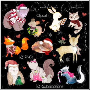 Winter Woodland critters Sublimation, Clipart, Digital Paper, Hedgehog, Deer, Fox, Mouse, Squirrel, Bear, Skunk, Racoon