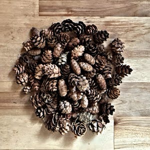May include: A collection of various sized pine cones in shades of brown and tan, arranged in a circular shape. The pine cones are on a light brown wooden surface.