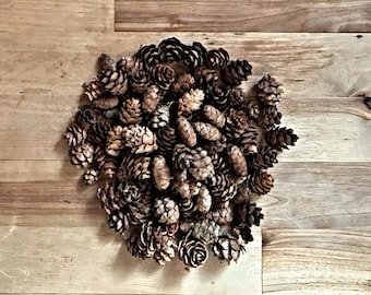 Mini Pine Cones – Tiny Natural Woodland Decor, Fairy Garden, Wedding Filler