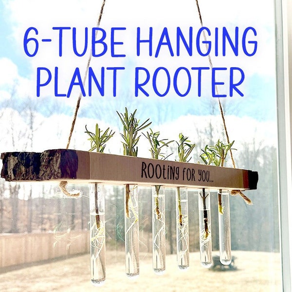 SALE! Live-Edge Hanging Plant Rooter | Hanging Propagation Station in Solid Hickory