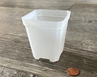 2.75" square clear seedling orchid pot, Clear plastic pot for succulents, Clear nursery pot