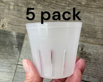 3" round translucent rimless pot with side slits (5 COUNT), Small orchid seedling pot, Orchid pot with slots, Clear pot for small plants