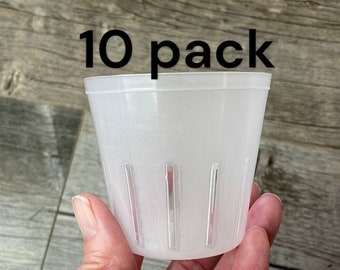 3" round translucent rimless pot with side slits (10 COUNT), Small orchid seedling pot, Orchid pot with slots, Clear pot for small plants