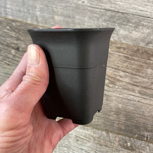 May include: A black plastic square plant pot with a textured surface.