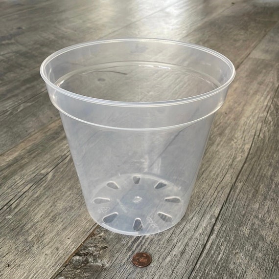 Vueinrg 10 Pezzi Vasi Trasparenti Per Orchidee,Vaso Per Orchidee Con
