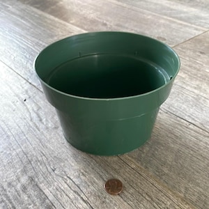 Puede incluir: Una maceta de plástico verde oscuro con un borde ligeramente ensanchado. La maceta está vacía y se encuentra sobre una superficie de madera. Una moneda está al lado de la maceta para comparar el tamaño. La maceta está diseñada para plantar flores u otras plantas.
