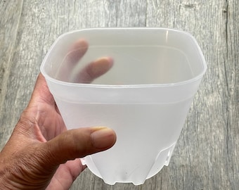 5” round cornered clear square orchid pot, Clear plastic pot, Clear pot for succulents, Clear pot for medium orchids, Pots for cactus