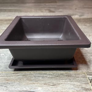 Puede incluir: Un macetero cuadrado de plástico marrón oscuro con una bandeja extraíble. El macetero está diseñado para contener una planta pequeña o una suculenta.