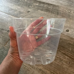 May include: A clear, cylindrical plastic plant pot featuring a wide rim and a base designed with multiple drainage holes. The transparent material allows for full visibility of the interior structure, including the raised drainage channels.