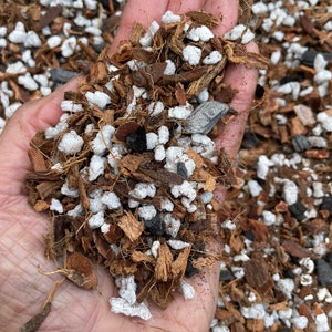 Soilless Hoya potting mix, Potting blend for Hoya and epiphytic tropical plants, Hoya potting soil, One gallon ready to ship