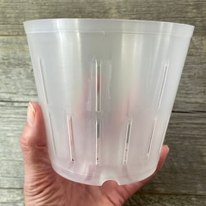 May include: A clear plastic pot with drainage holes. The pot is designed for planting and has a smooth, rounded bottom.