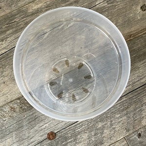 May include: A clear plastic plant pot with drainage holes. The pot is 18 cm in diameter.