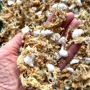 Mix van veenmos-orchidee, Soilless-mix voor phalaenopsis-orchideeën, Nieuw-Zeeland AA+ veenmos-mix, verpotmix voor orchideeën - 1 gallon