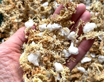 Miscela di muschio di sfagno per orchidee, substrato senza terra per orchidee Phalaenopsis, miscela di muschio di sfagno AA+ della Nuova Zelanda, substrato per rinvaso di orchidee - 1 gallone