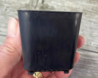 2" square black seedling pot,  Small pots for indoor plants, Succulent pot with drainage, Indoor flower pot, Cactus pot, starter plant pot