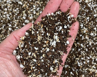 ジュエルオーキッド用培養土、ルディシア、マコデス、アノエクトデス、ドシシア、ルドキルスなどのラン用培養土、地生ラン用培養土