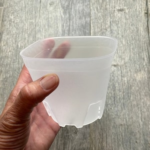 10 cm rund hörnformad fyrkantig orkidékruka, Genomskinlig plastkruka, Genomskinlig kruka för suckulenter, Genomskinlig kruka för medelstora orkidéer, Krukor för kaktusar