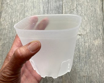4” round cornered clear square orchid pot, Clear plastic pot, Clear pot for succulents, Clear pot for medium orchids, Pots for cactus