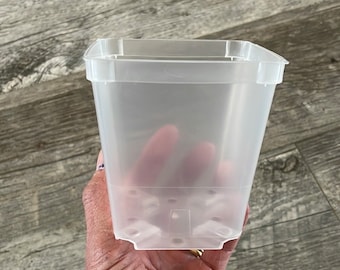 3.5" square clear orchid pot, Clear plastic pot for tropical aroids, Clear nursery pot