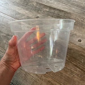 Puede incluir: Una maceta cilíndrica de plástico transparente con un borde ancho y reforzado en la parte superior y una serie de orificios de drenaje integrados en la base. El recipiente es transparente, lo que permite ver claramente el interior y la base.