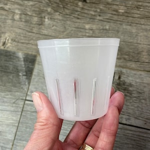 May include: A white plastic plant pot with drainage holes. The pot is translucent and has a smooth, rounded bottom.