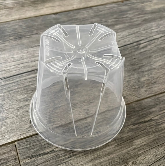 Vaso Per Orchidee CULTIVA Rotondo Trasparente Viola 16 Cm - Con Rialzo Per Radici Aeree - 4
