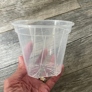 4.7&quot; high transparency clear round orchid pot, small clear pot for tropicals, clear nursery pot, indoor plant pot, ultra clear plant pot