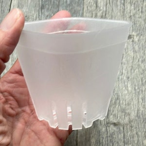 May include: A white plastic plant pot with drainage holes. The pot is translucent and has a smooth, rounded shape.