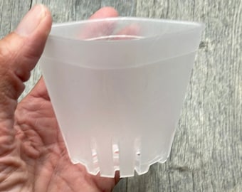 3.25” round cornered clear square seedling orchid pot, Clear plastic pot, Transparent plant pot, Clear square succulent pot, Seedling pot