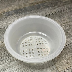 7" clear textured bulb pan, Shallow pot for orchids and succulents, Bonsai starter pot, Bulbophyllum pot, Shallow transparent nursery pot