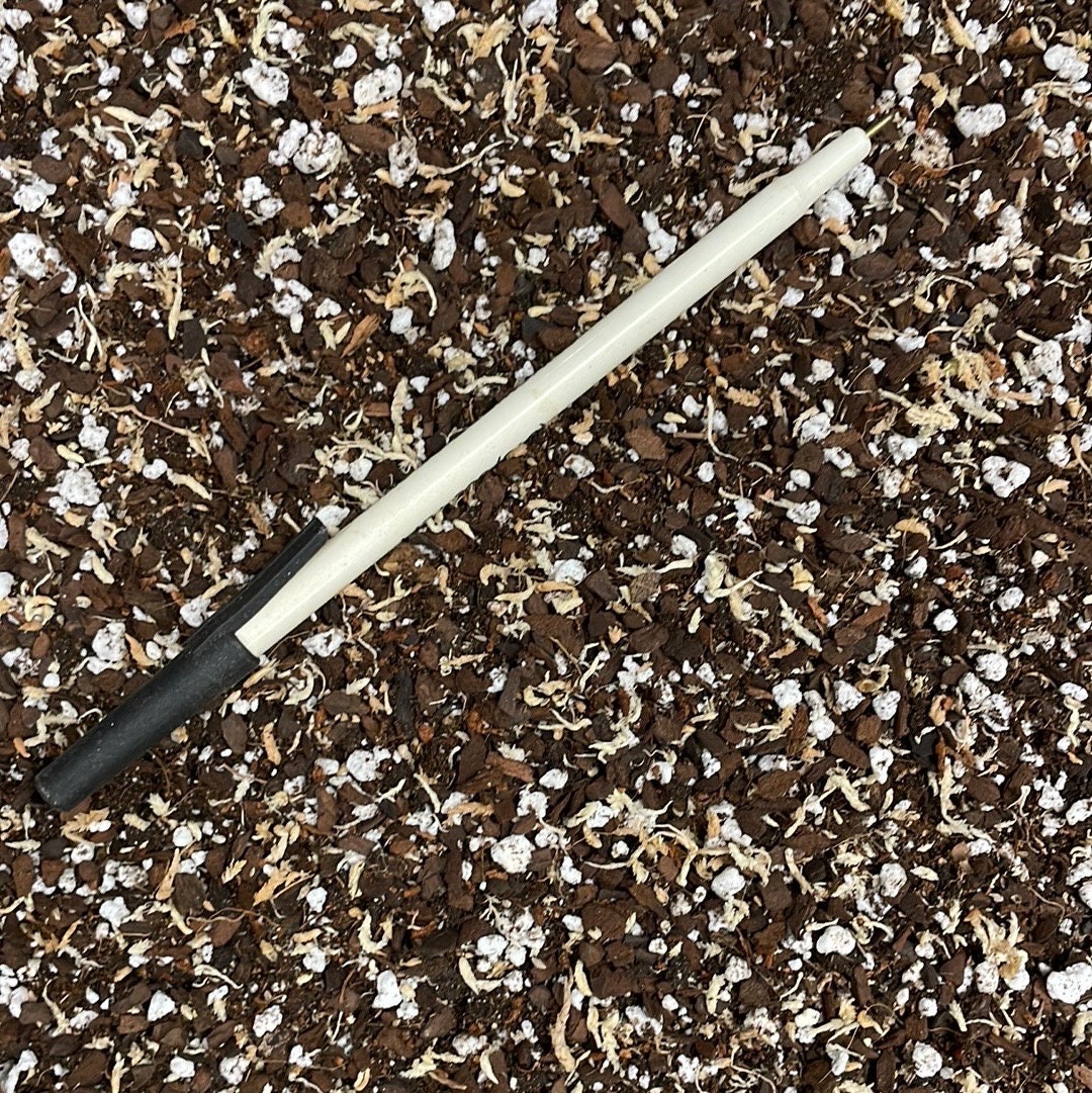 Jewel Orchid Potting Mix, Soil Mix for Ludisia, Macodes, Anoectodes,  Dossisia and Ludochilus Orchids, Terrestrial Orchid Potting Soil - Etsy